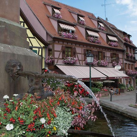 Hotel Au Lion Ribeauvillé Exterior foto